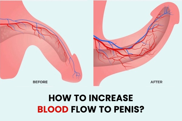 How to Increase Blood Flow to Penis?